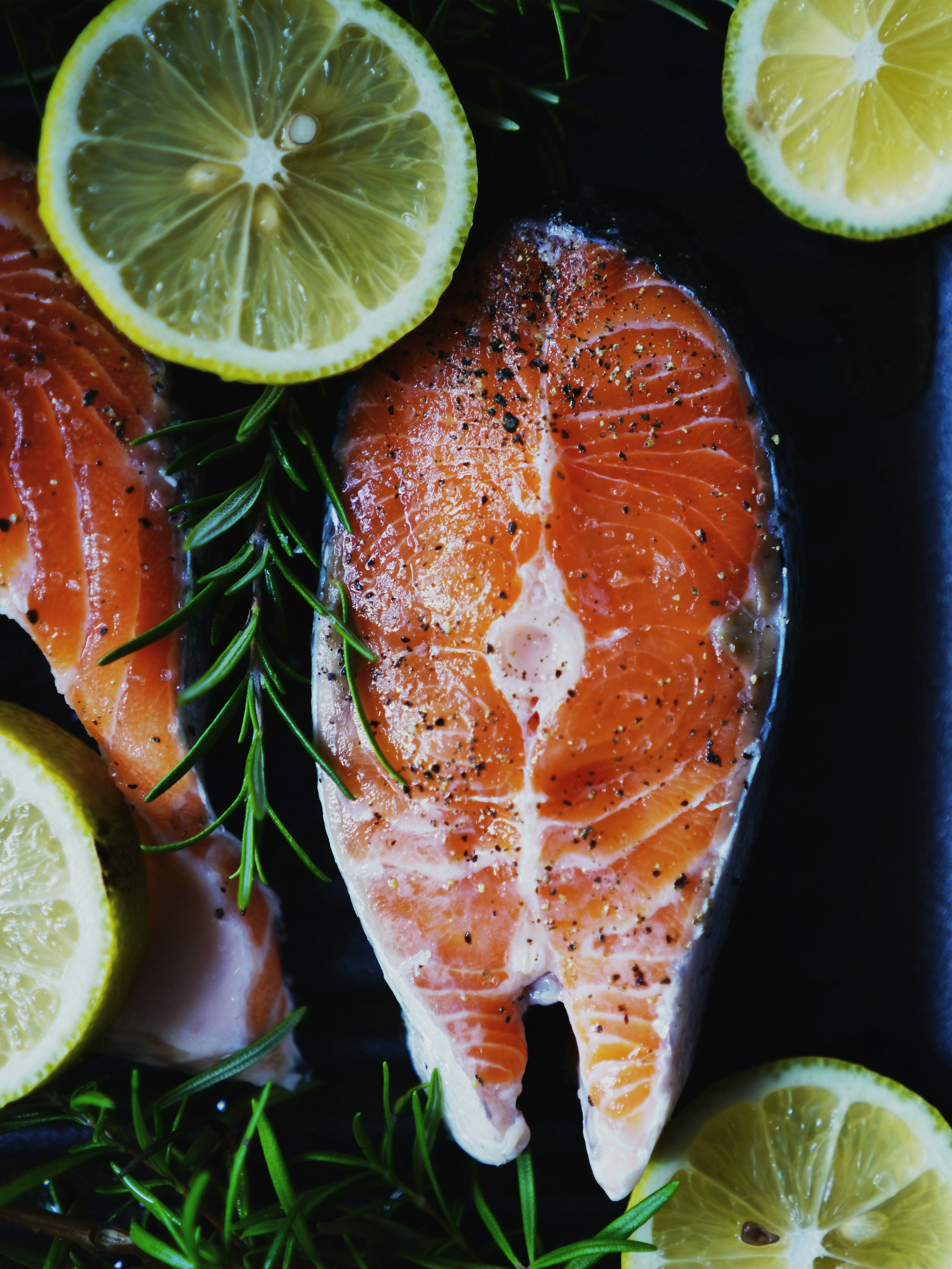 Salmon Fish